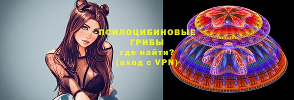 молекула духа Горнозаводск
