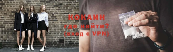 винт Горняк