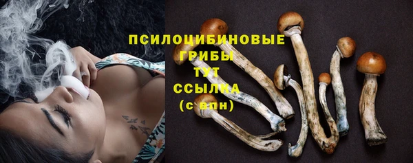 молекула духа Горнозаводск