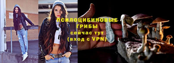 винт Горняк