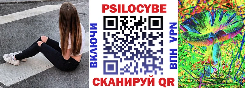 Псилоцибиновые грибы GOLDEN TEACHER  Купить закладки  Касимов 